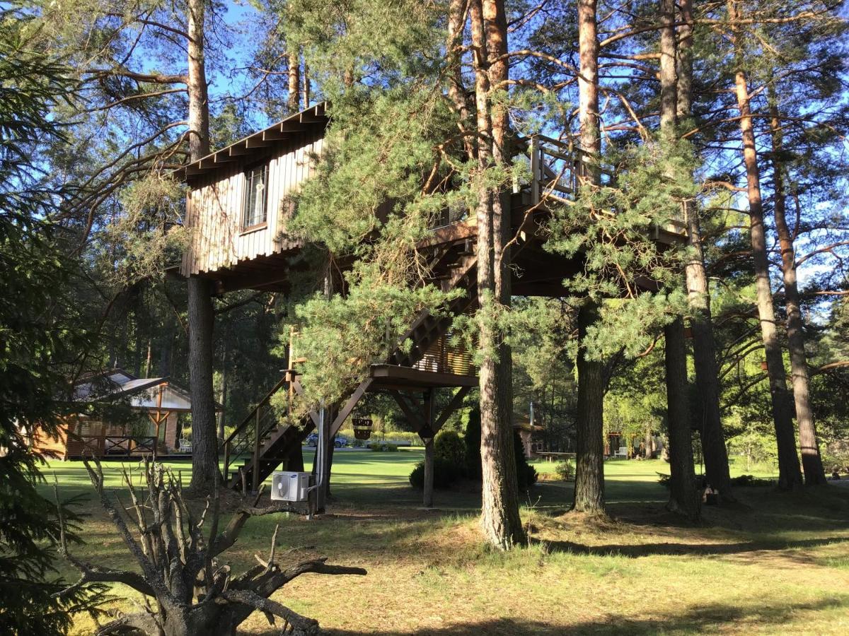 Villa Treehouse Ciekurs Dukuri Exterior foto