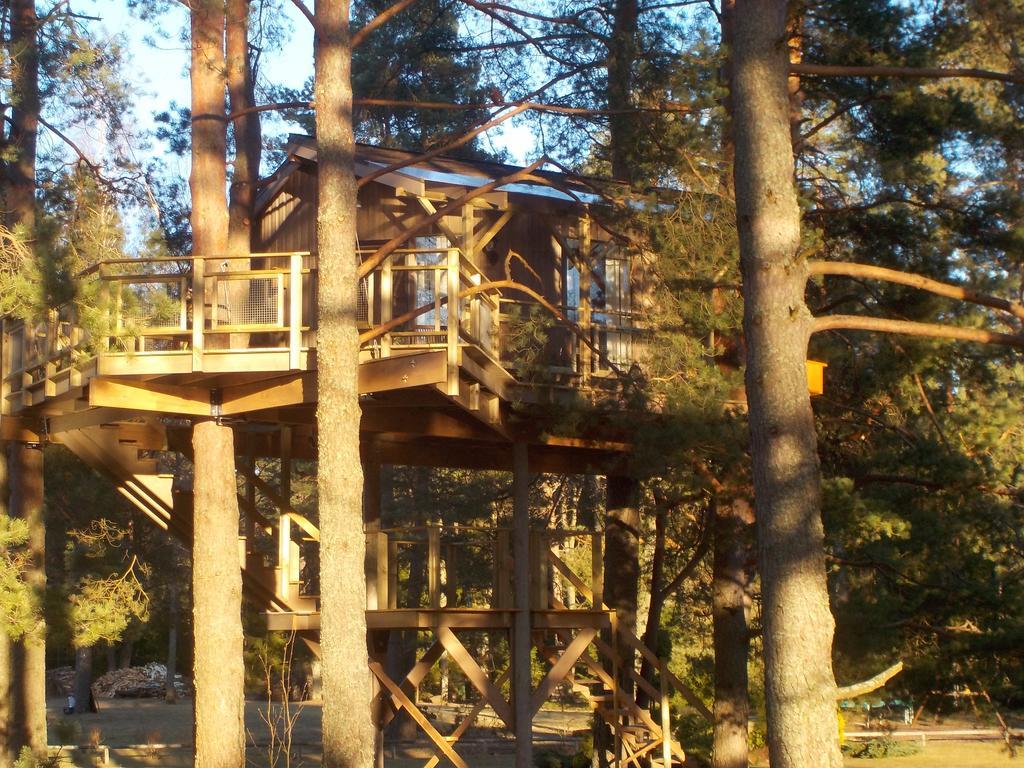 Villa Treehouse Ciekurs Dukuri Exterior foto